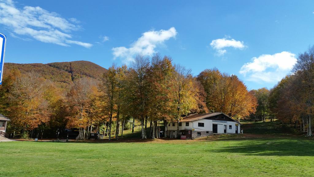 Hotel Martini Alle Logge Castel del Piano  Exterior foto